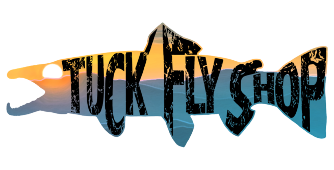 TFS Sunset Trout Sticker